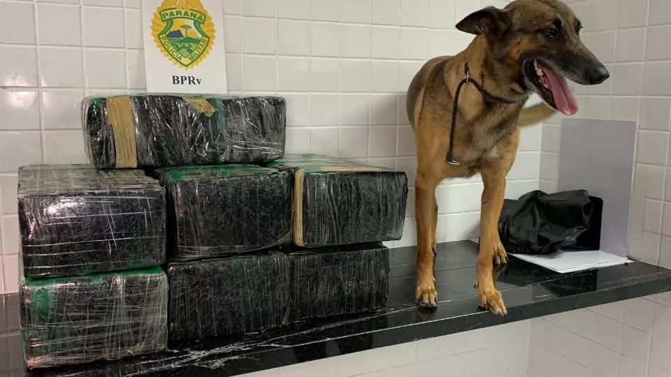 Dupla é detida pelo BPRv com mais de 100 quilos de maconha na BR 163