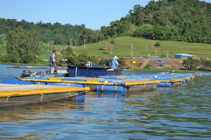 São Jorge sedia Seminário Regional de Piscicultura