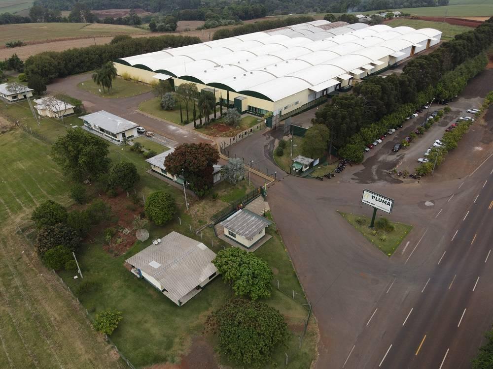 Grupo Pluma expande operação na América Latina
