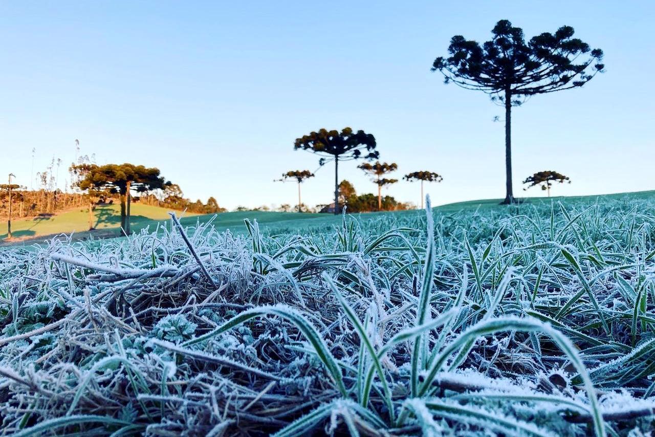Nova onda de frio tem data para chegar ao Paraná e terá duração prolongada