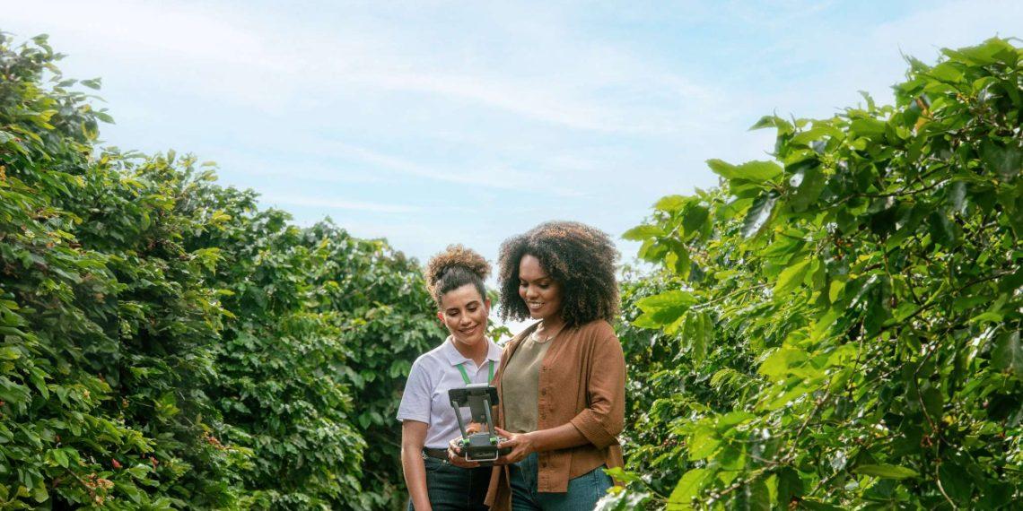 Sicredi reforça liderança no crédito rural do Paraná, com 23,4% do volume liberado