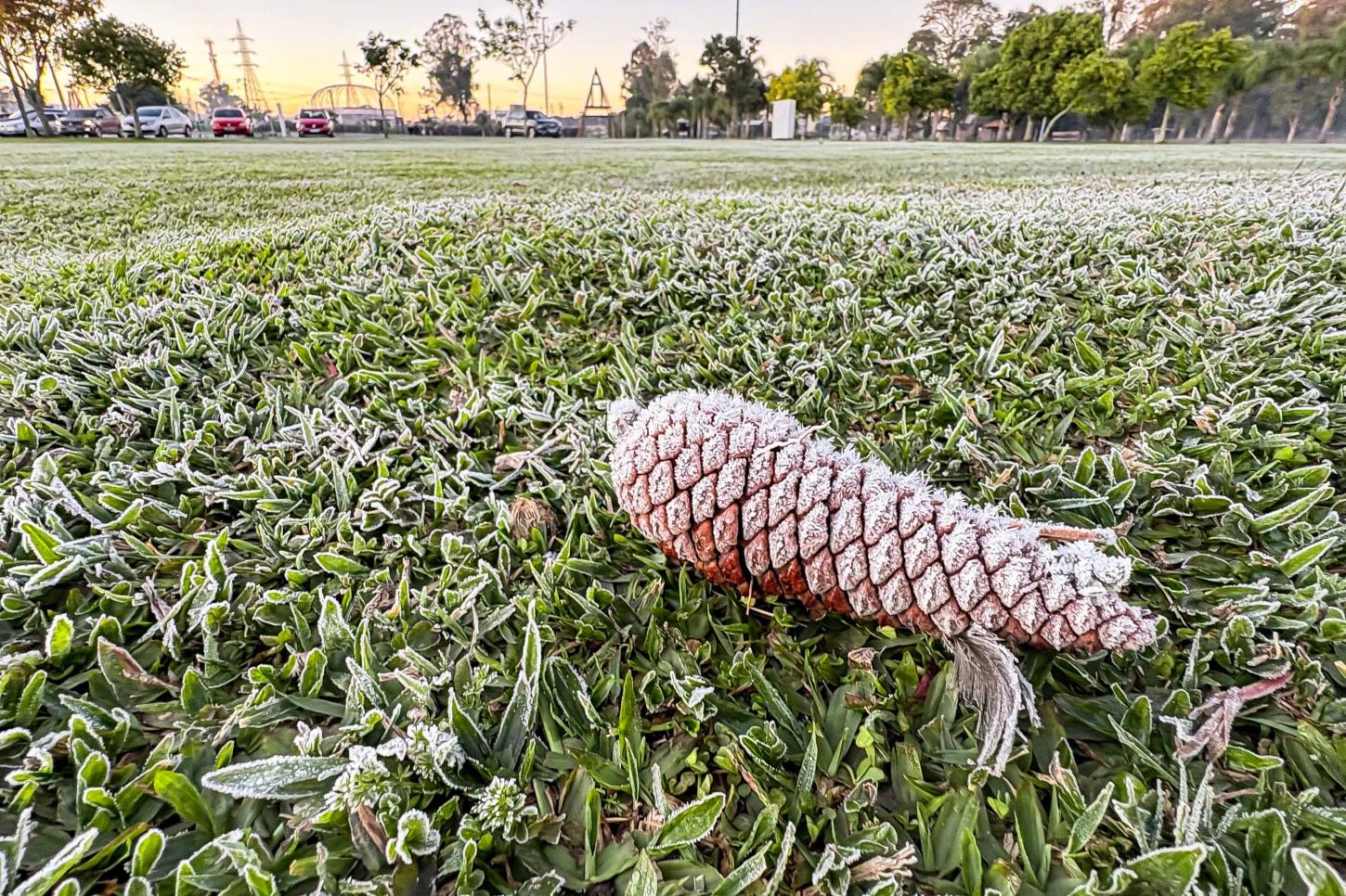 Sinais de inverno: maio terá frentes frias, geada e temperaturas abaixo de 10°C
