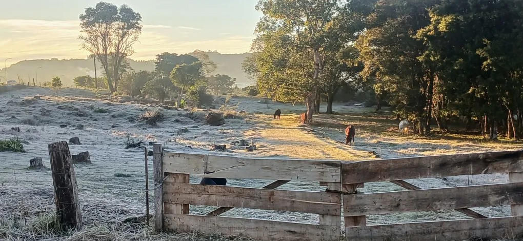 Temperatura despenca no fim de semana no Sul do país